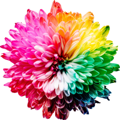 h2print-blomma h2print-blomma